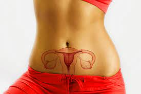 Types of Ovarian Cysts-dr-Qaisar-Ahmed-Dixe-cosmetics