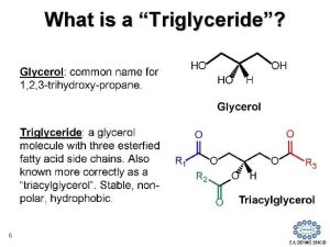 triglyceride - dr - Qaisar - Ahmed - dixe - cosmetics